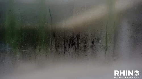 Humidity in the Home: Why You Should Care About It and Its Impact on Home Insurance